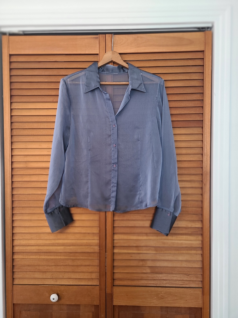Semi-Sheer Button-Front Blouse - Blue